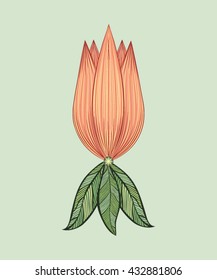 Vector pink flower botanical illustration. Flower design. 