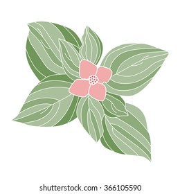 Vector pink flower design. Hand-drawing floral background. Element for design. Isolated on a white - white background.