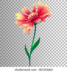 Vector pink flower. Floral element for your design. Cute summer blossom. Colorful illustration isolated on transparent background.