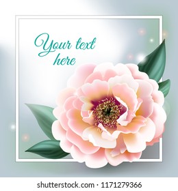 Vector pink peonу flower frame.