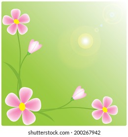 vector pink flowers on green background