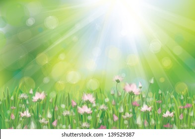 Vector of pink flowers on sunny background.