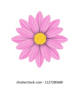 Vector pink flowers on a white background.