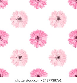 Vector pink flowers on white background. Seamless spring pattern.