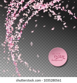 Vector pink flying petals with blurred defocused transparent detail.