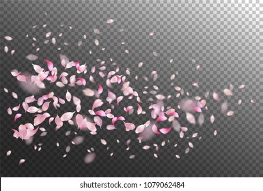 Vector pink flying petals with blurred defocused transparent detail