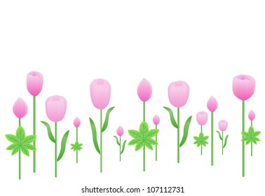 vector pink  fresh flower