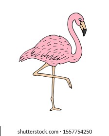 Vector pink hand drawn sketch doodle flamingo isolated on white background