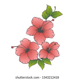 Vector pink hibiscus. Hand drawn hibiscus, flower with gradient pink color on white background. Hibiscus flowers for cards and invitations. 