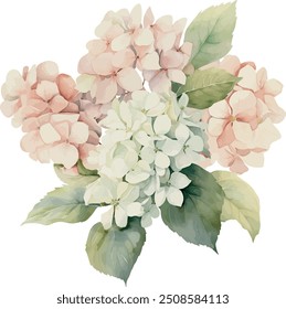 Vector, pink hydrangea, Bouquet, festive flowers, Watercolor illustration, Greeting cards, invitation, party, baby shower, birthday, event, holiday, wedding card, printable.