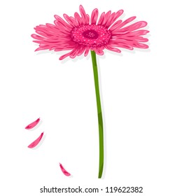 Vector pink isolated Gerbera flower, can be used for valentines card, background, decoration