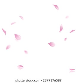 Vektorrosa Blatt, Vektorgrafik auf weißem Hintergrund.