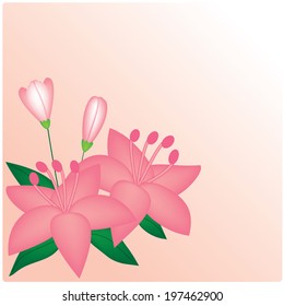 Vector Pink lilies on the pink background