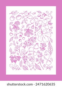 Vector pink linear illustration of different Garden Fruits, leaves, tree branches