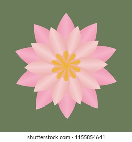 Vector of pink lotus flower
