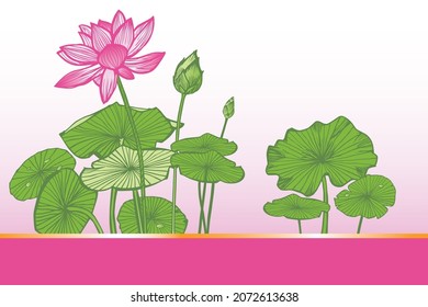 Flores tropicales de loto rosa vectorial y diseño de tarjeta de saludo de ilustración verde. Ilustraciones botánicas para tarjetas de felicitación y proyectos de diseño gráfico.