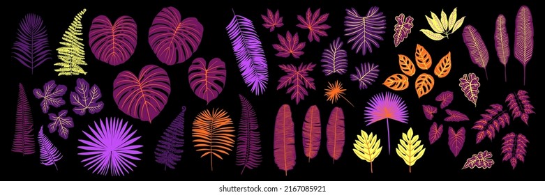 Vector pink neon tropical leaves of palm, monstera, fern. Purple and blue plants on a black background.