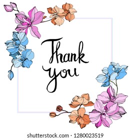 Vector Pink, orange and blue orchid. Floral botanical flower. Wild spring leaf wildflower isolated. Engraved ink art. Frame border ornament square. Thank you handwriting monogram calligraphy.