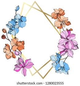 Vector Pink, orange and blue orchid. Floral botanical flower. Wild spring leaf wildflower isolated. Engraved ink art. Frame border ornament square.