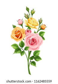 Vector pink, orange and yellow roses isolated on a white background.