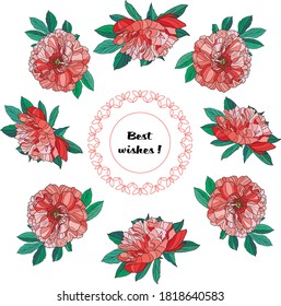 Patrón horizontal de patrones de las flores rosadas vectoriales. Diseño de tarjeta de invitación o de bienvenida.Ilustración vectorial