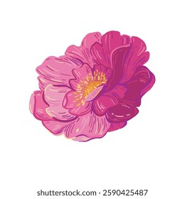 Vector pink peony illustration. Aesthetic pink peony art