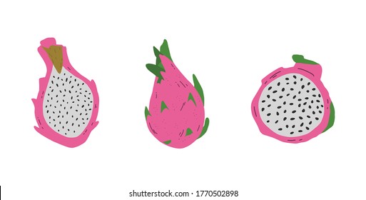 Vector pink pitayas isolated on white background.  Hand drawn pitahaya clip art. Exotic tropical dragon fruit.