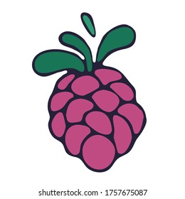 vector pink raspberry with green leaves and purple outline vector element
