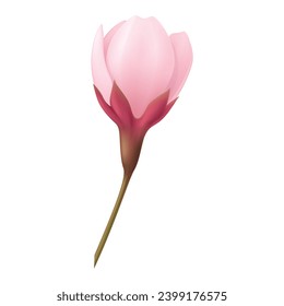 Vektor rosa realistische Tulpenblumen Bouquet Vektorgrafik.