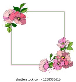Vector Pink rosa canina. Floral botanical flower. Wild spring leaf wildflower isolated. Engraved ink art. Frame border ornament square.