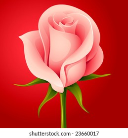 (vector) pink rose