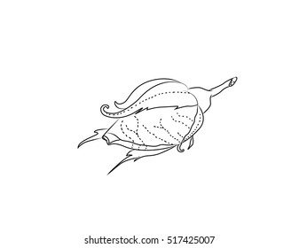 vector pink rose bud hand drawing rosesisolated