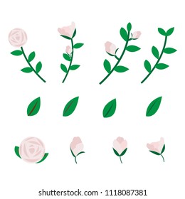 vector pink rose design.Pink rose set over white.pink flower and leaf