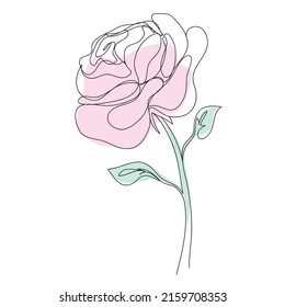 Dibujo de rosa PINK vectorial de una línea continua. Ilustración de color de las flores en el estilo de la línea de arte