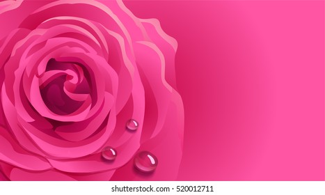 Vector pink rose flower with water drops business card blank pattern