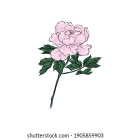 Rosa rosa vectorial. Icono de las flores. Diseño para el patrón. 