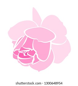 vector pink rose isolated on white background