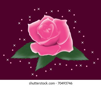 vector pink rose with leaves