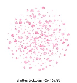Vector pink rose or sakura petals falling arranged in a circle. Tender romantic love card, Valentine's Day floral design element. Realistic rose petals background for ads or natural cosmetic products.