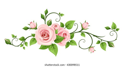 Vector pink rose vine isolated on a white background.