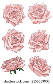vector pink roses for wedding card decoration, icon