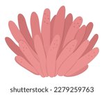 Vector pink sea anemone icon. Under the sea illustration with cute actinia seaweeds. Ocean plant clipart. Cartoon underwater or marine clip art for children isolated on white background
