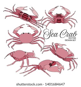 Vector Pink Sea Crab illustration Design Set
