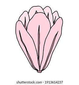 Vector pink silhouette of hand drawn magnolia flower isolated on white background. Spring illustration, sketch, doodle.