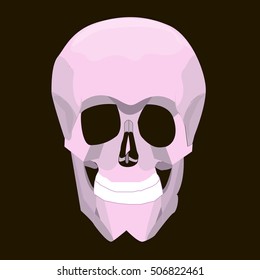 Vector Pink Skull Illustration