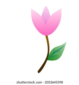 vector of a pink tulip flower