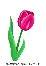 Vector pink tulp