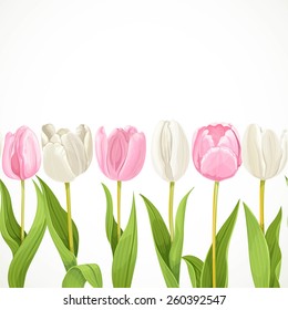 Vector pink and white flowers tulips seamless background - Shutterstock ID 260392547