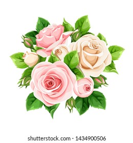 Vector pink and white roses isolated on a white background.