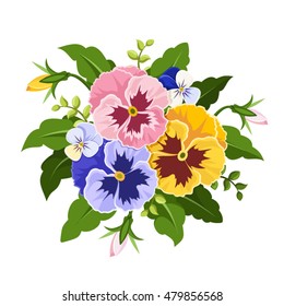 Vector pink, yellow and purple pansy flowers isolated on a white background.